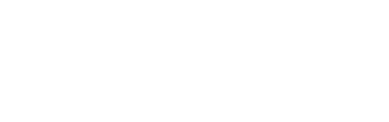 dunn construction cornwall logo upscaled white